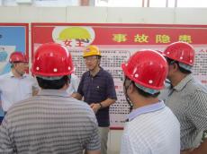省住建厅徐学军副厅长来南京完美平台官网登录集团莉湖畔项目检查工作