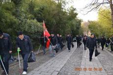 南京完美平台官网登录集团组织开展“关爱自然，文明你我”志愿服务活动
