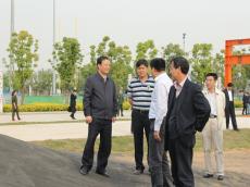 南京市副市长徐锦辉调研南京完美平台官网登录集团青奥体育公园项目