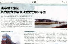《南京日报》对南京完美平台官网登录集团进行专版报道