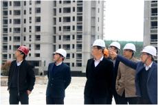 句容市委书记视察完美平台官网登录集团北部新城项目