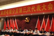 南京完美平台官网登录集团第三次党员代表大会顺利召开